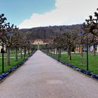 Alleeblick zum Fürstenhof (2)