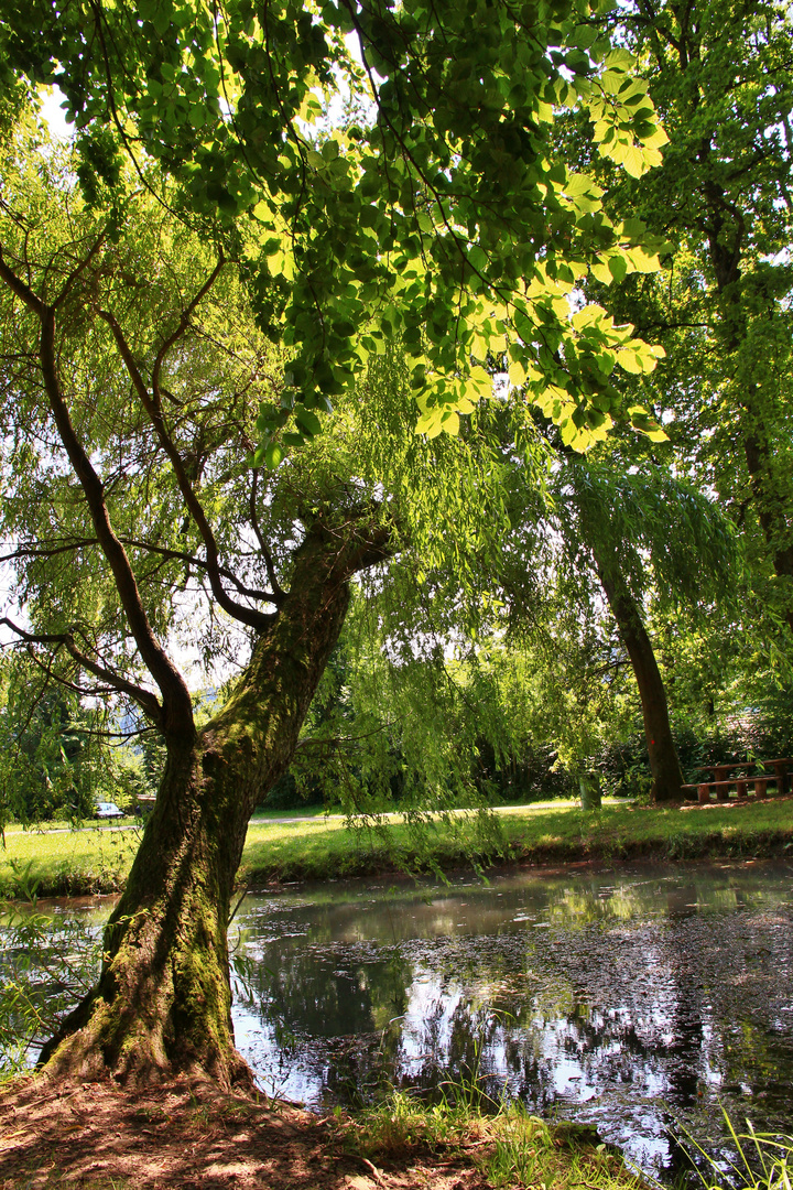 Alleensee