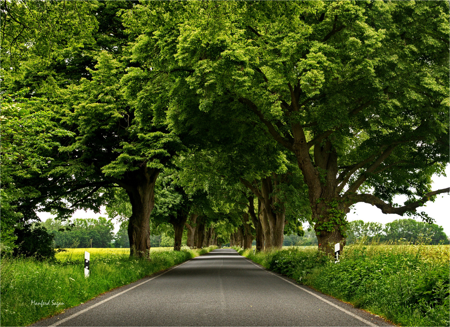 Alleenstraße in Vorpommern... 