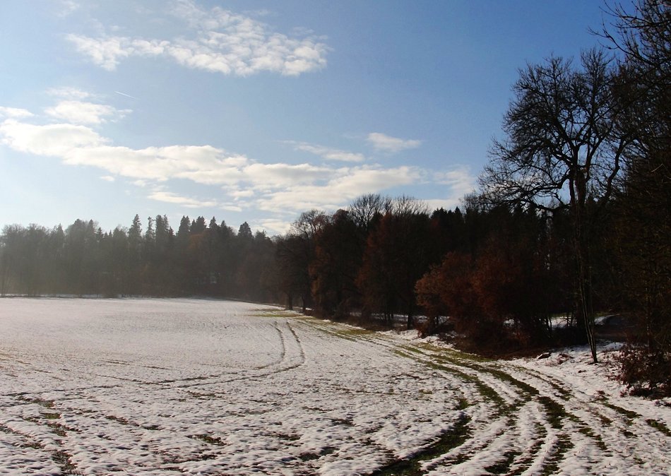 Alleerand im echten Winter VII