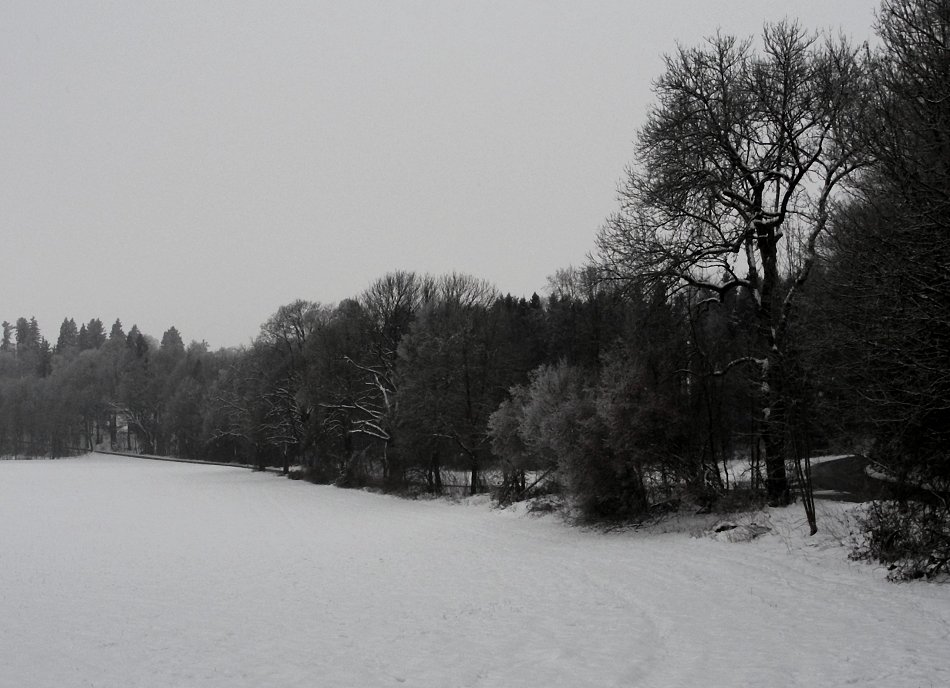 Alleerand im echten Winter VIII