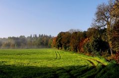 Alleerand im Herbst V