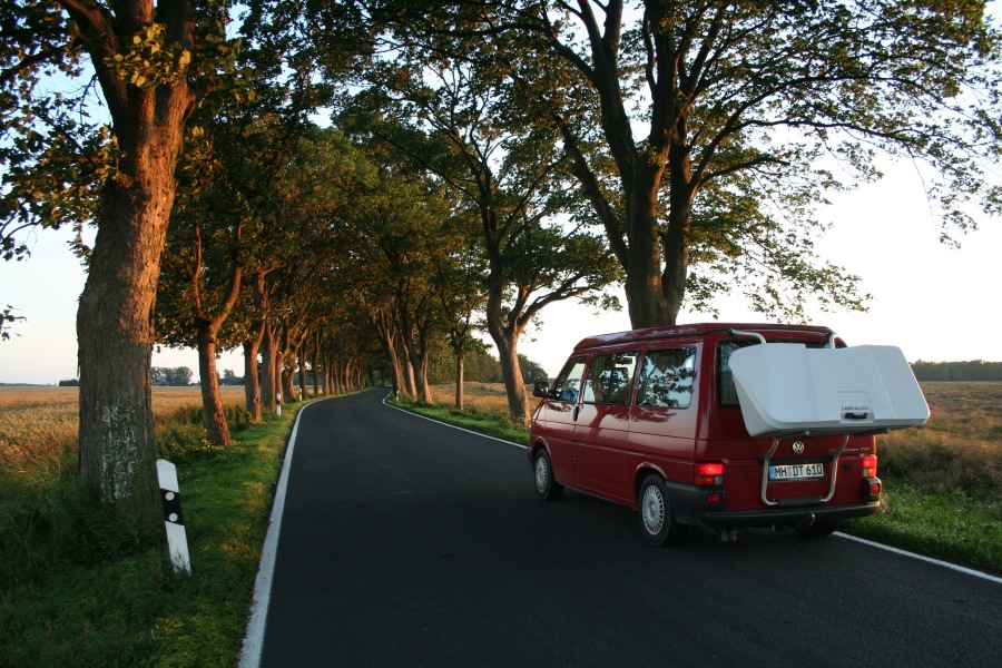 Alleestraße auf Rügen