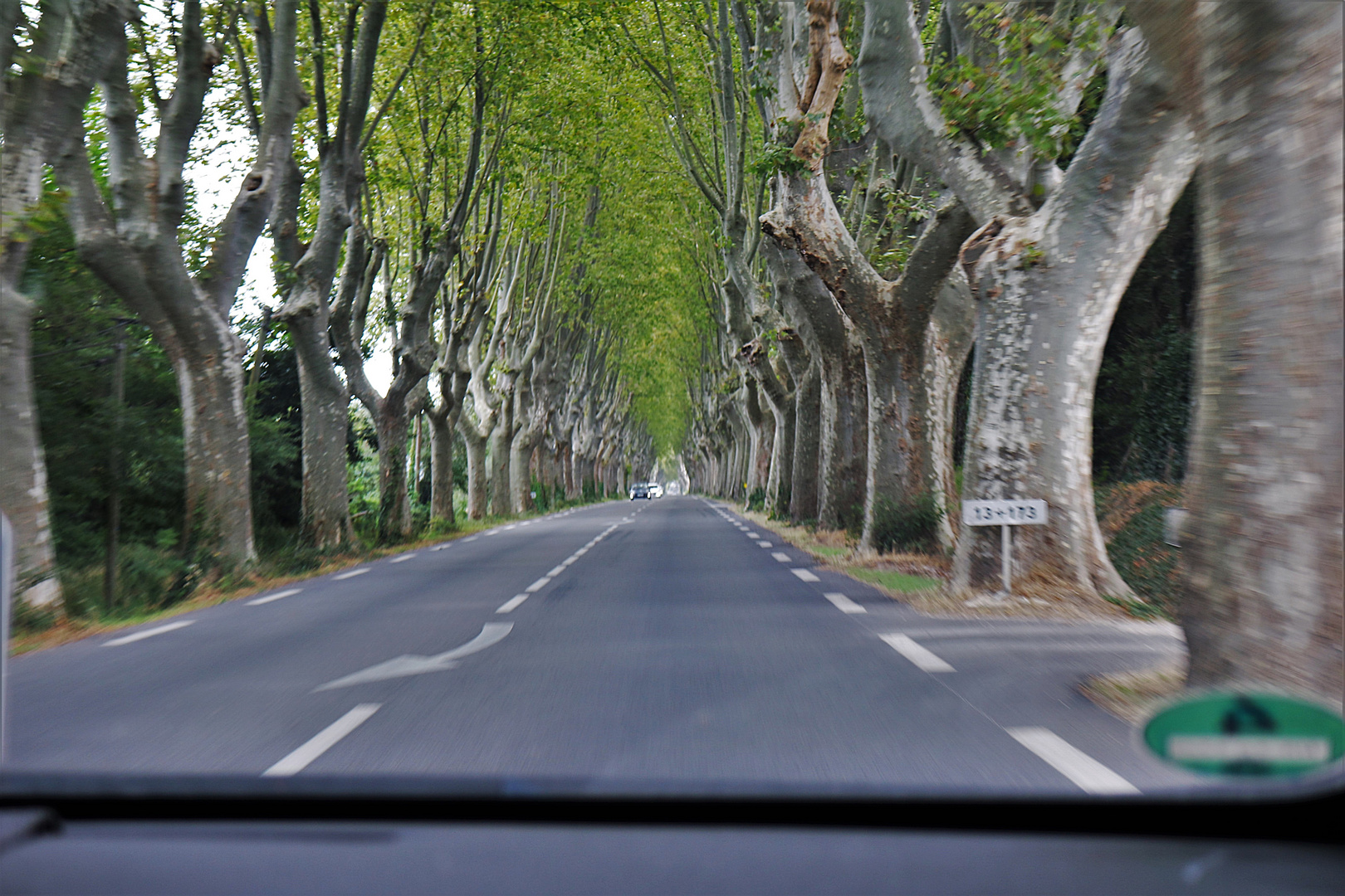 Alleestrasse in Frankreich