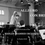 "Allegro con brio"
