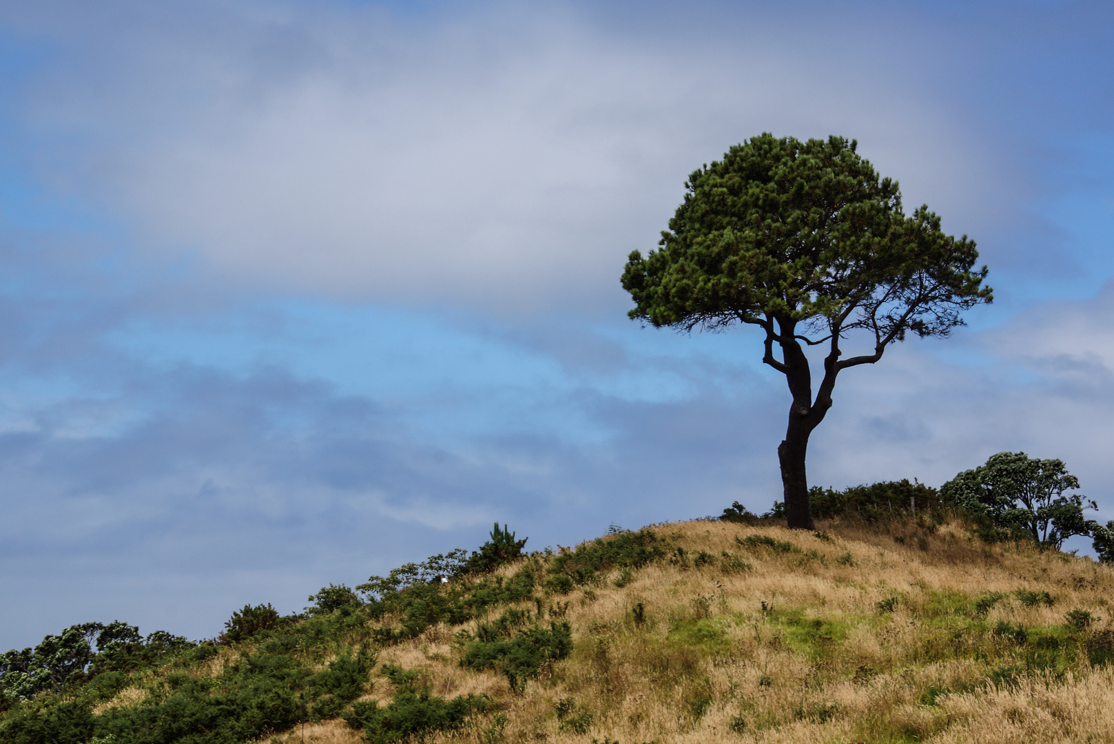 Bilder Allein Bilder Allein