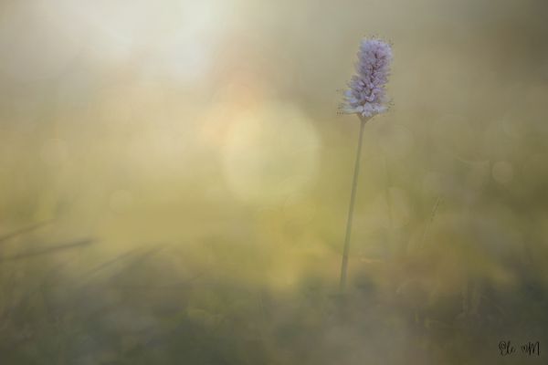 Allein, aber fein und klein