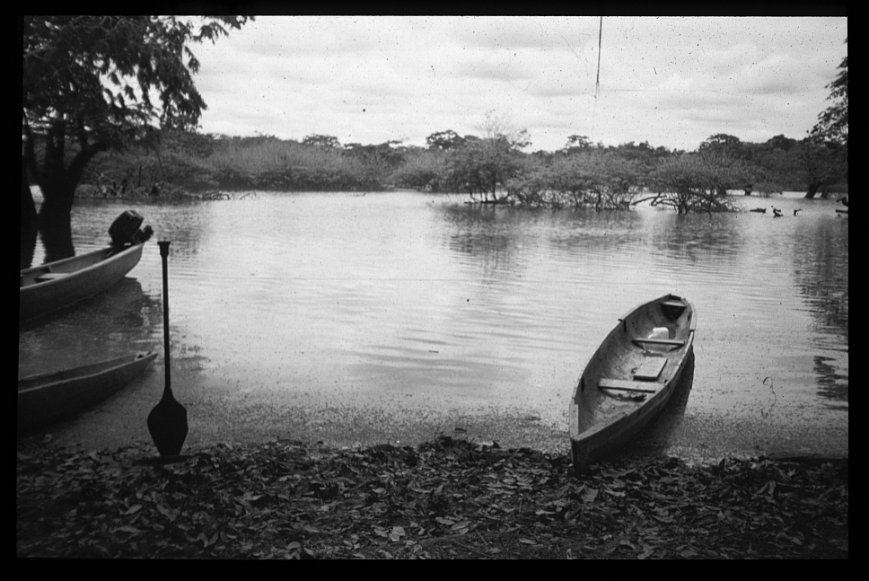 Allein am Amazonas I