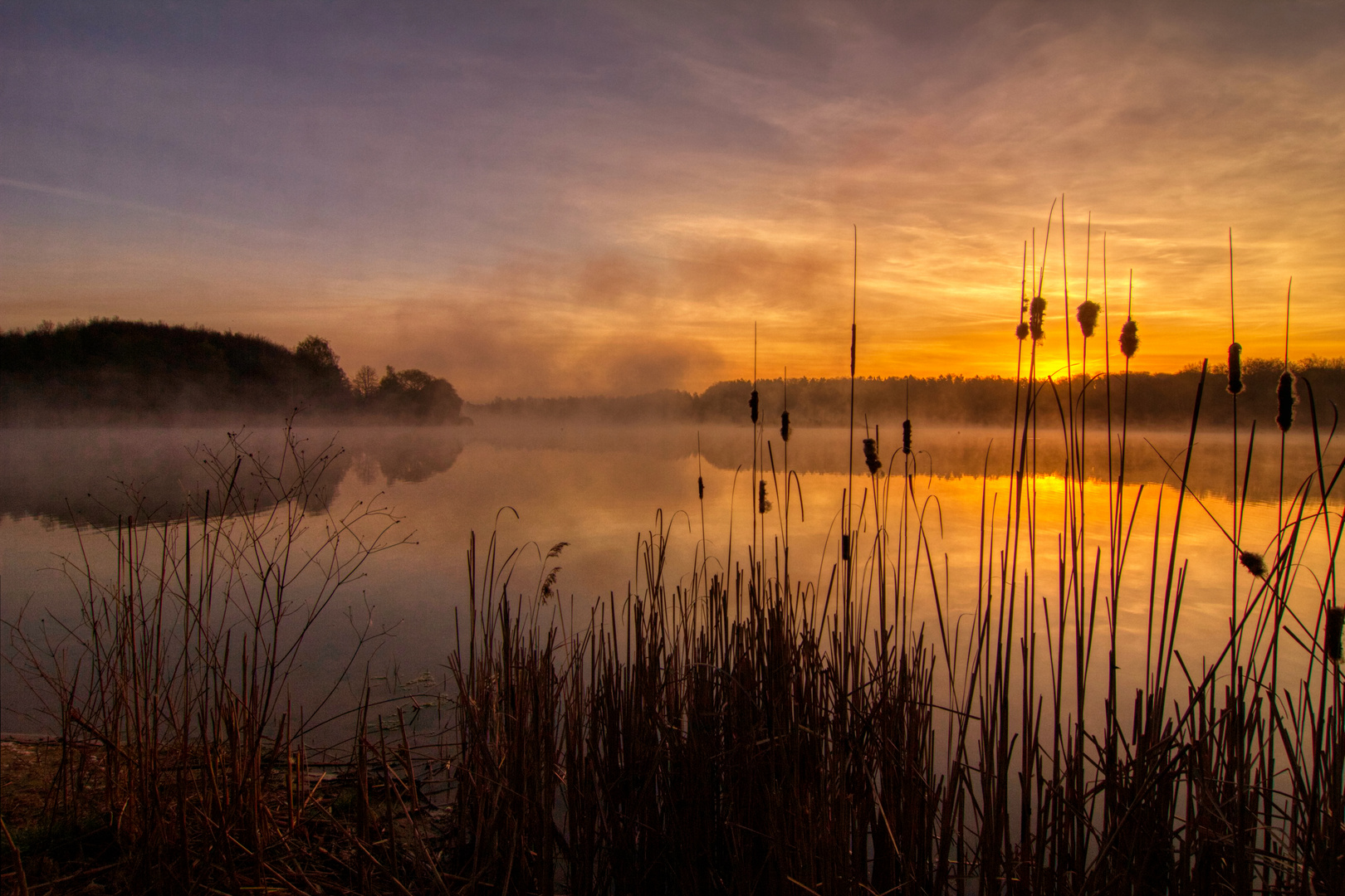 Allein, am See 1