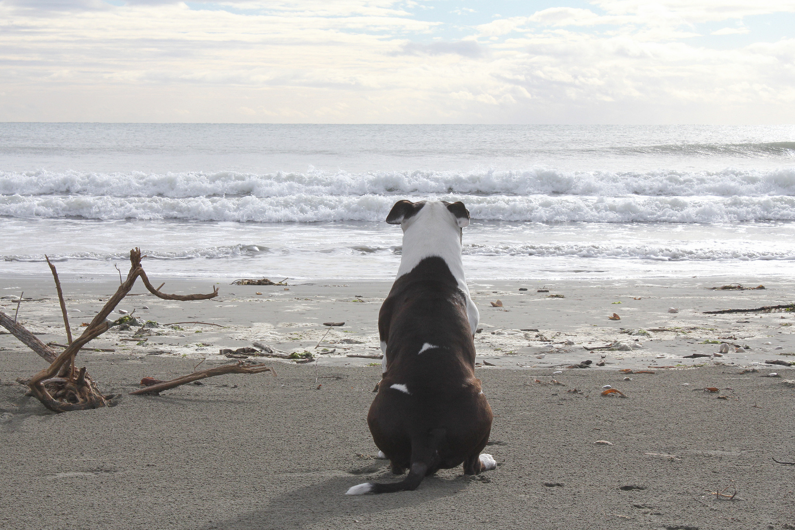 Allein am Strand