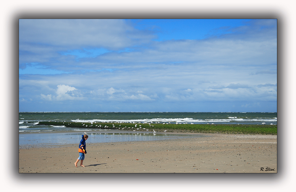 Allein am Strand