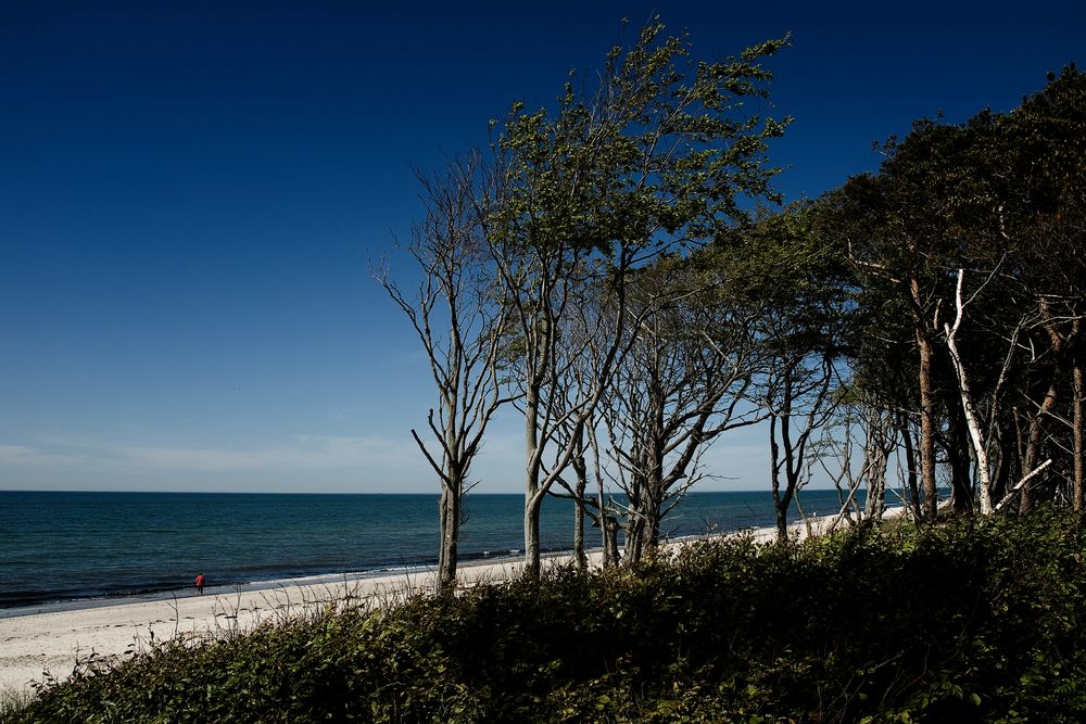 Allein am Strand