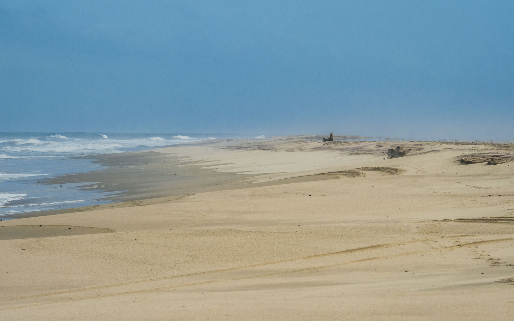 Allein am Strand