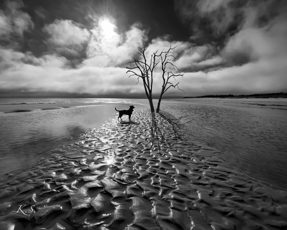 Allein am Strand