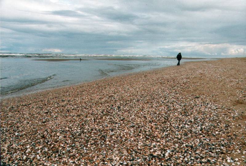 Allein am Strand