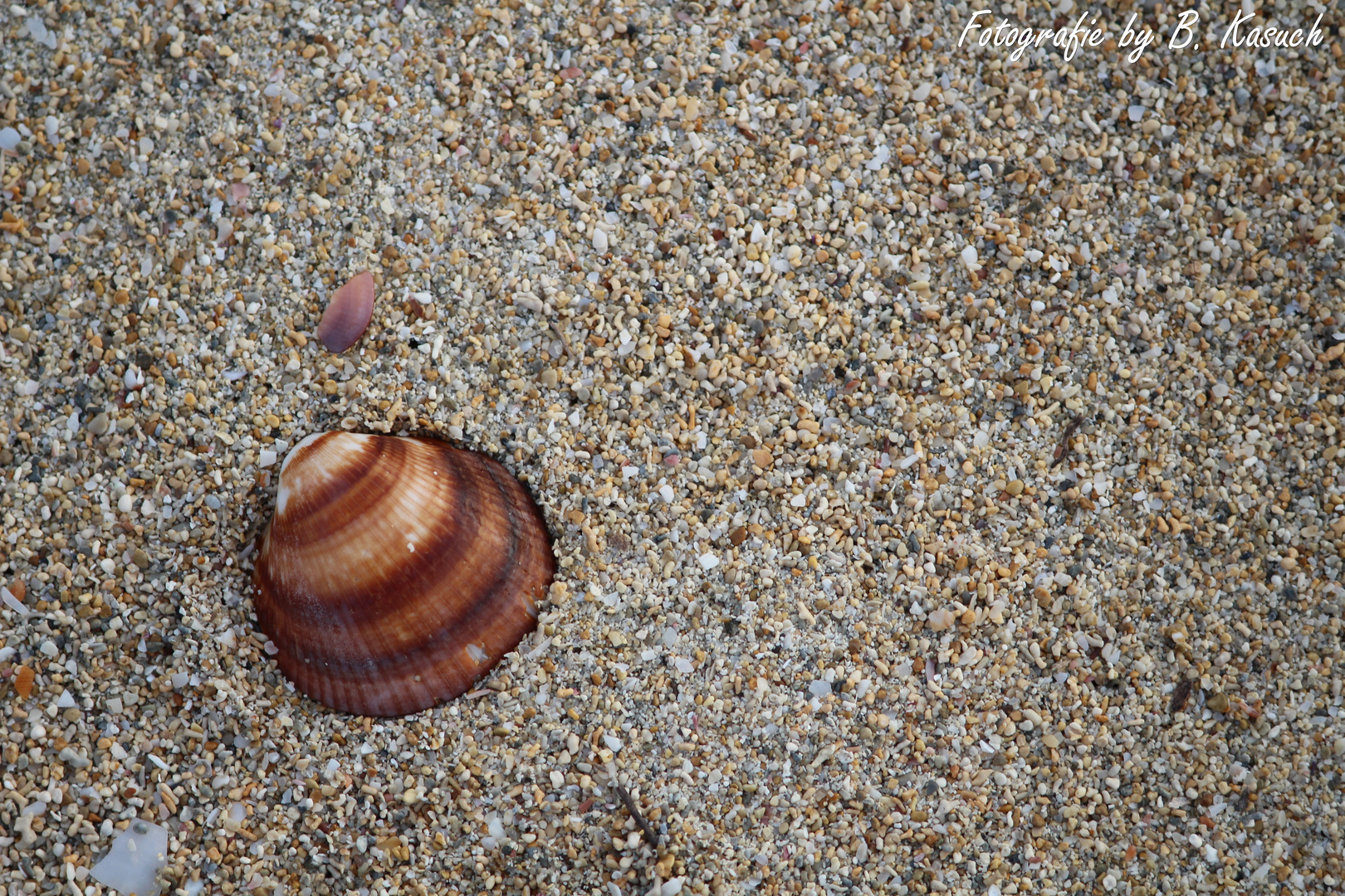 Allein am Strand!