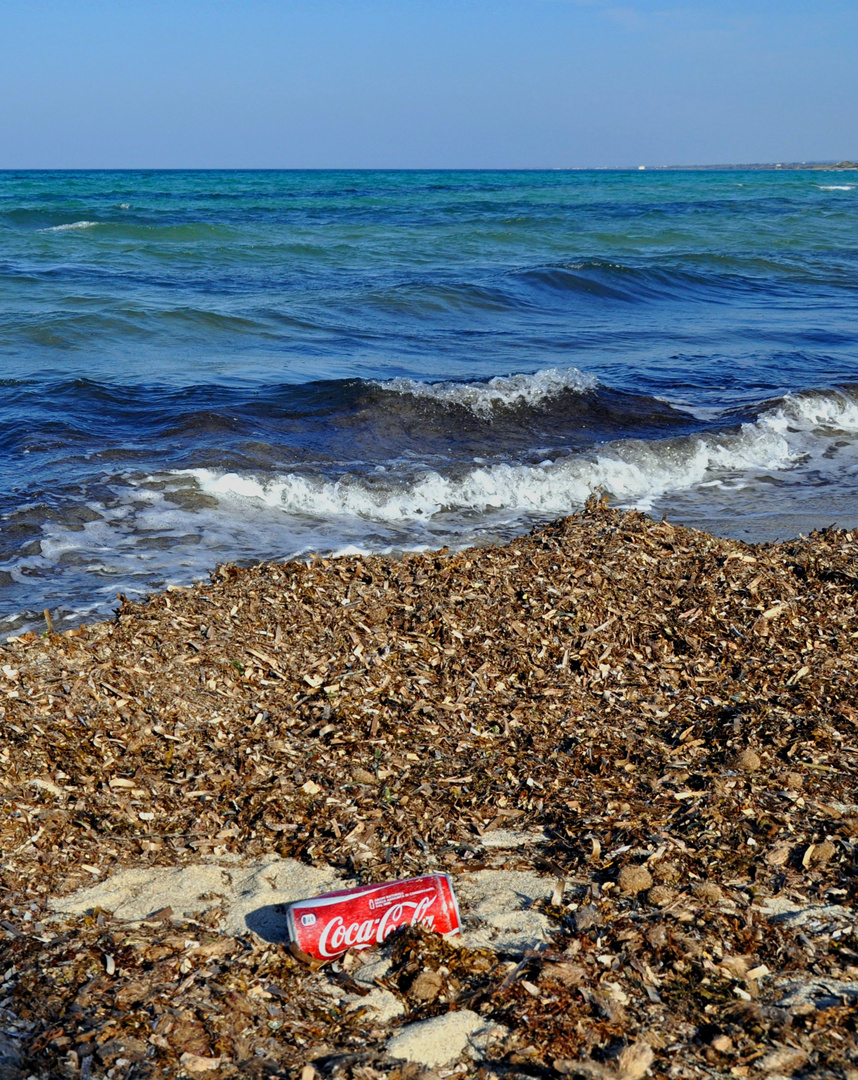 allein am Strand....