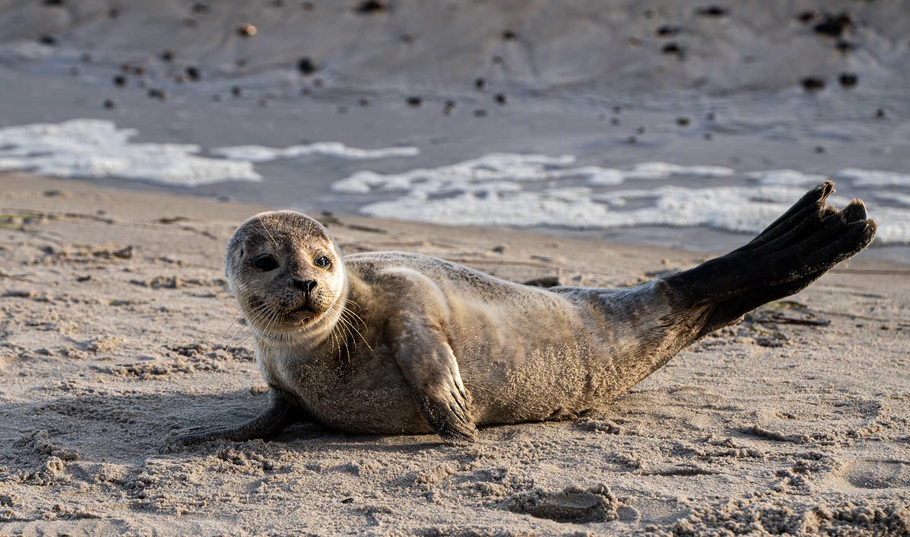 allein am Strand