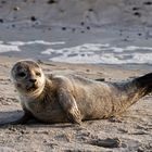 allein am Strand