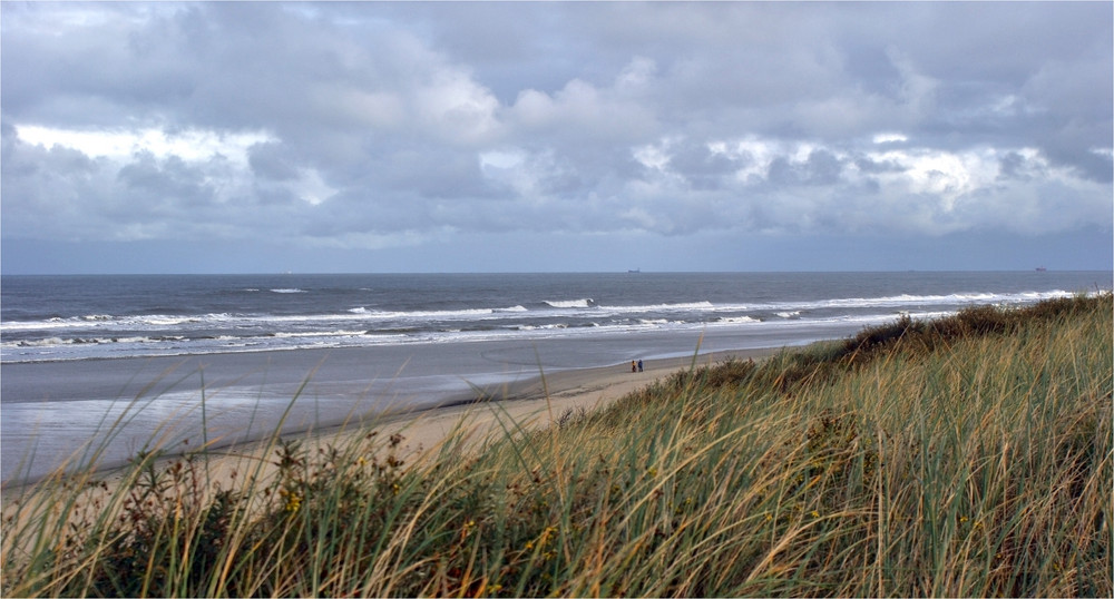 Allein am Strand I