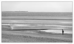 - allein am Strand unterwegs -
