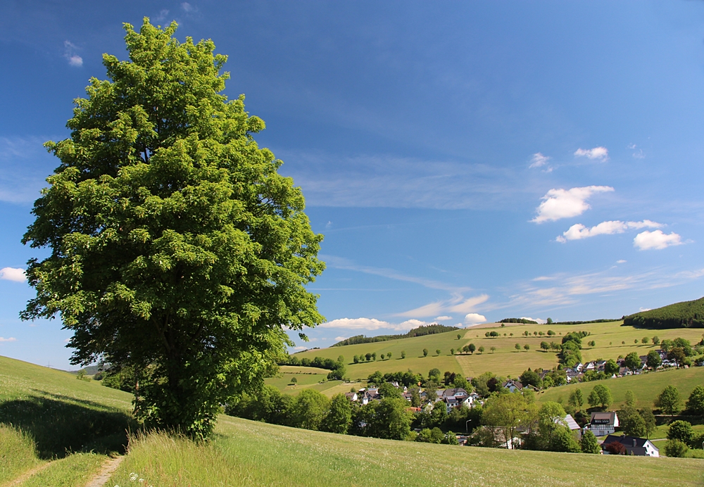 Allein am Wegesrand