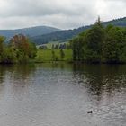 Allein auf dem Freudensee