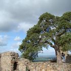 Allein auf der Mauer