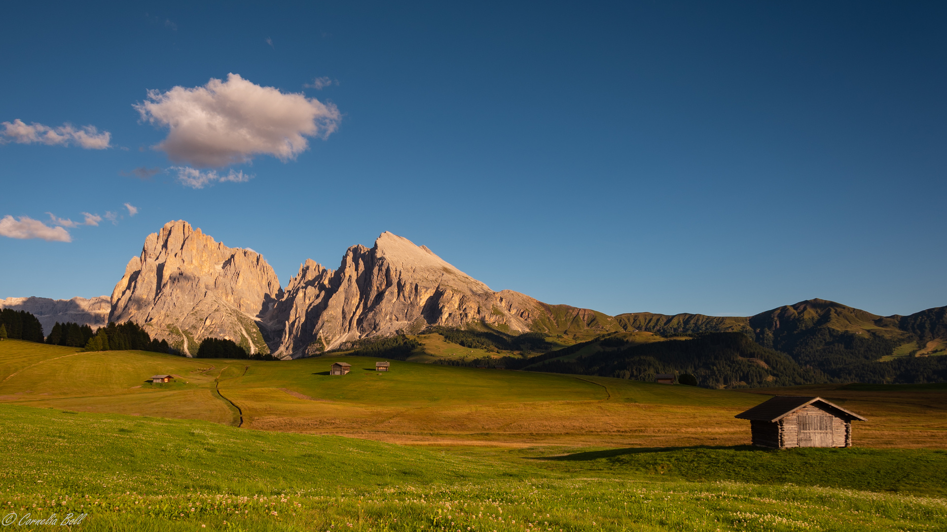 Allein auf der Seiser Alm