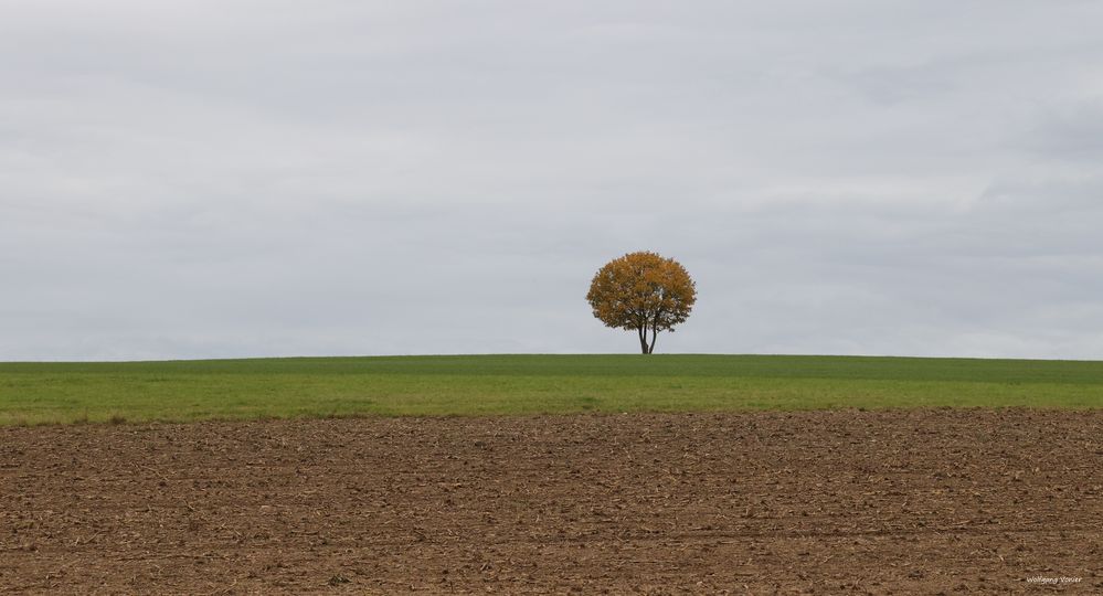 Allein auf weiter Flur