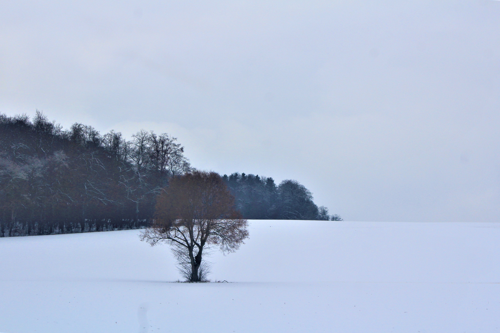 allein auf weiter Flur