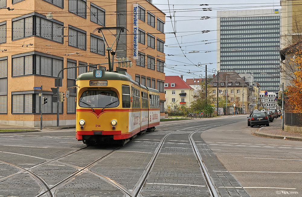 Allein auf weiter Flur