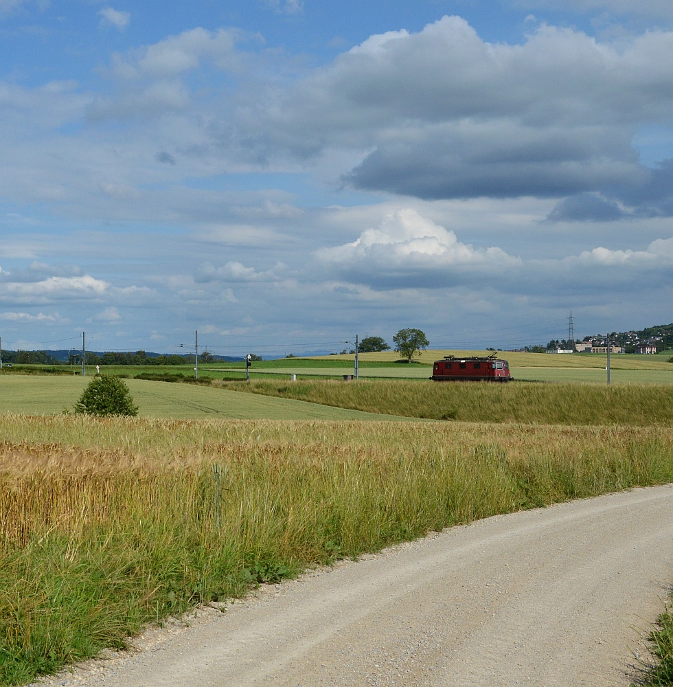 Allein auf weiter Flur