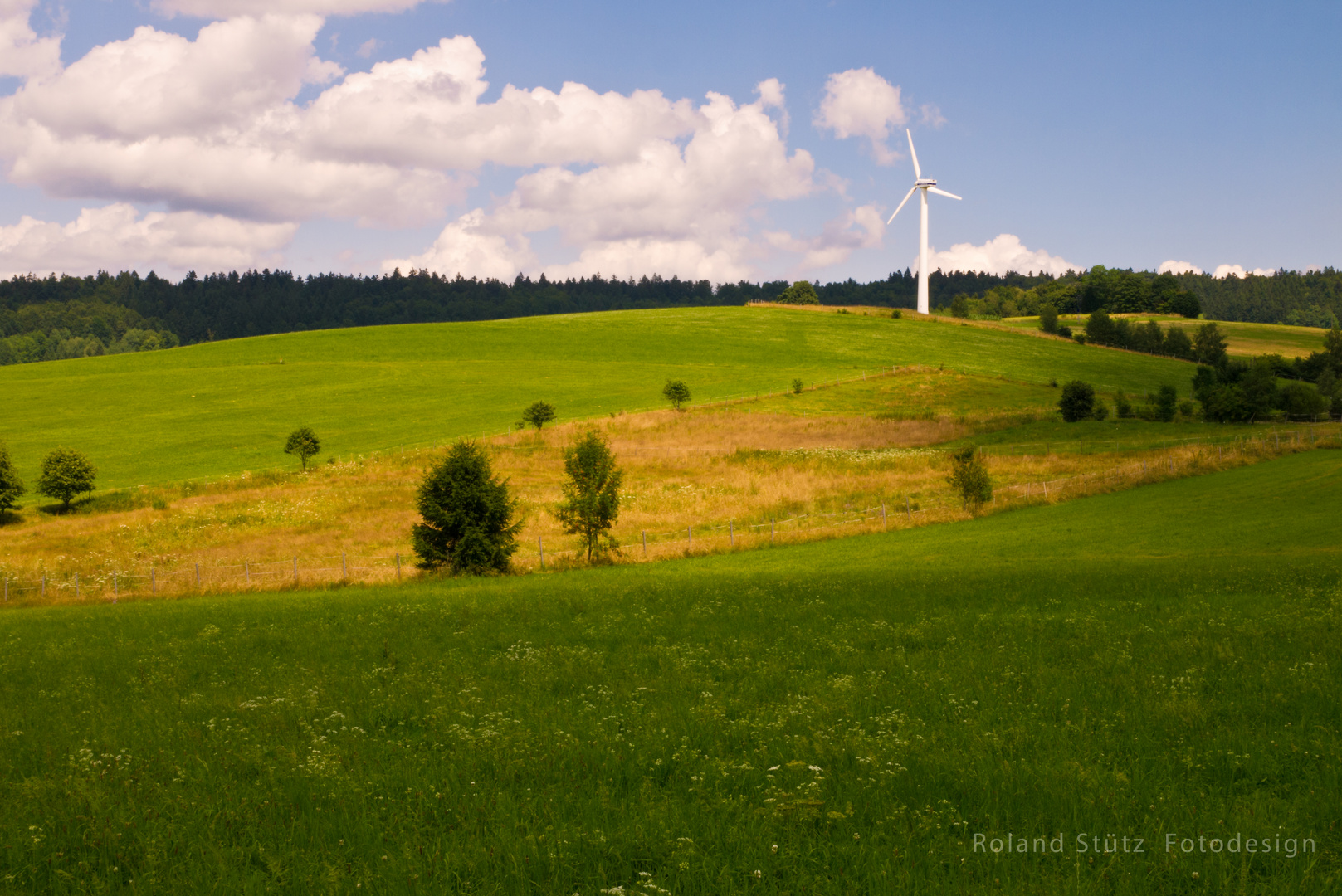 Allein auf weiter Flur bei Jandelsbrunn