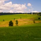 Allein auf weiter Flur bei Jandelsbrunn