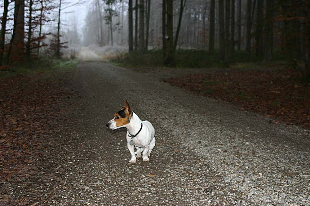 Allein auf weiter Flur