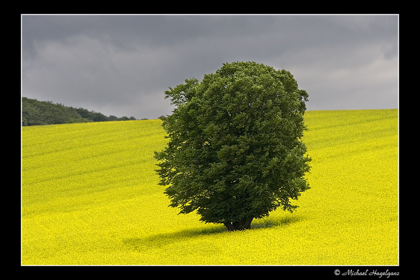 allein bei Sturm & Wind