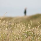 Allein hinter den Dünen