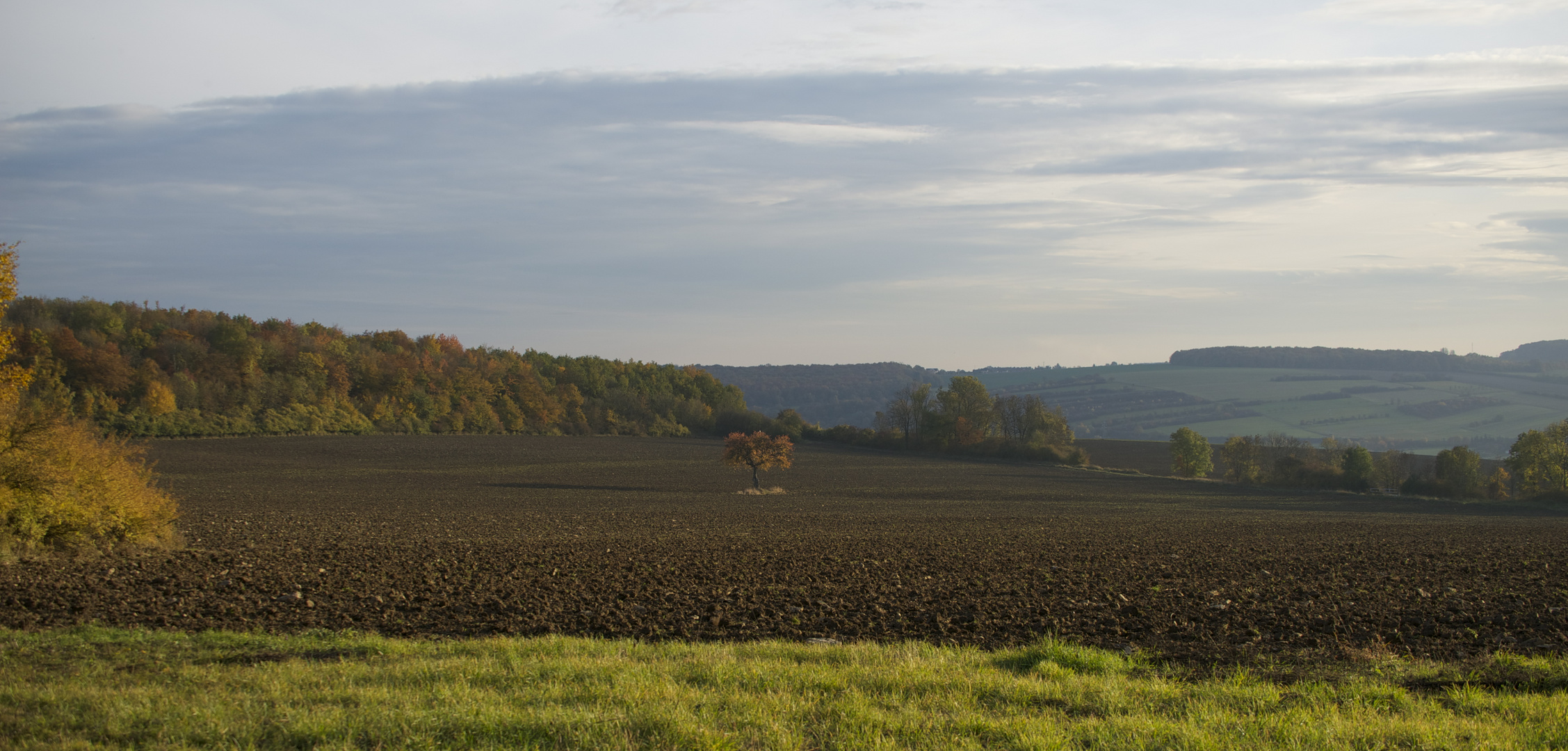 Allein im Feld