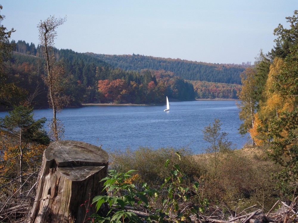 Allein im Herbst auf der Sorpe