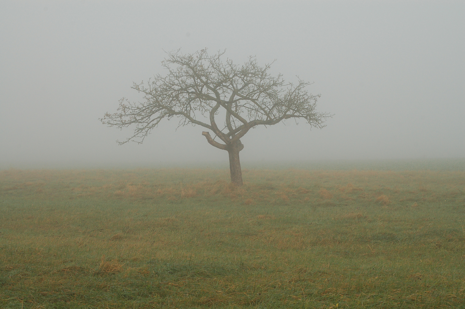 Allein im Herbst des Lebens...