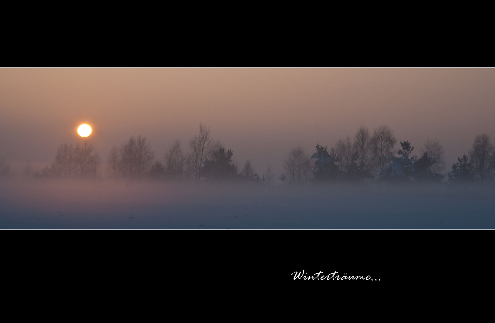 allein im Nebel