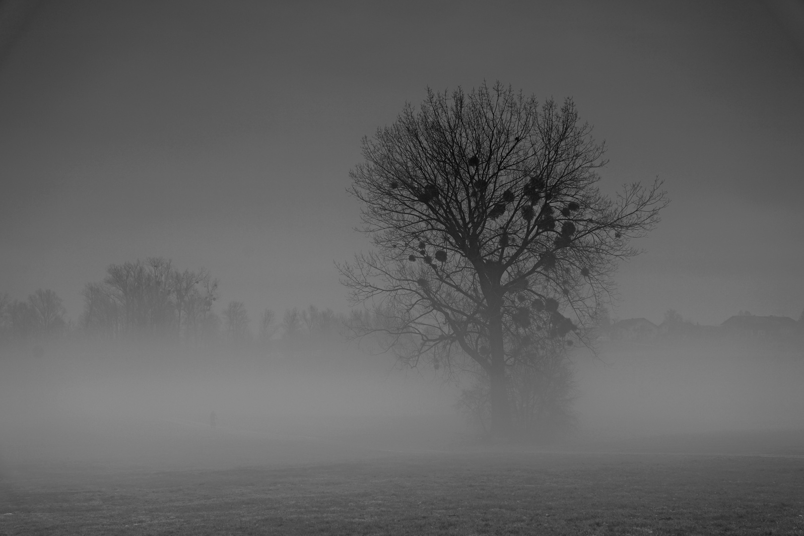 ...allein im Nebel