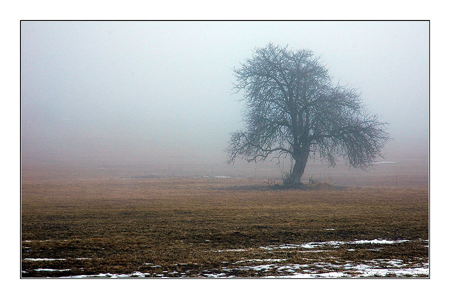 Allein im Nebel