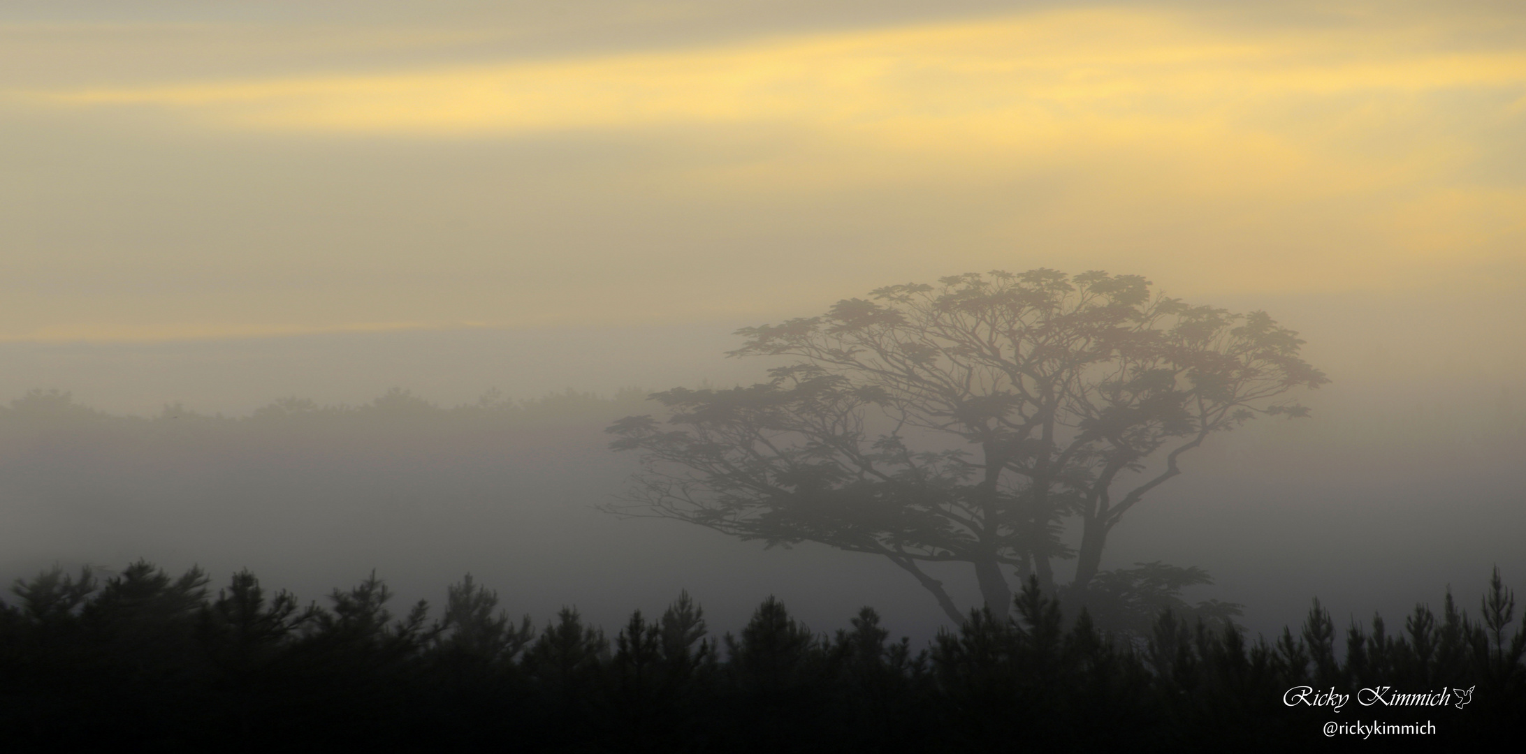 Allein im Nebel ( Solo en la Niebla )