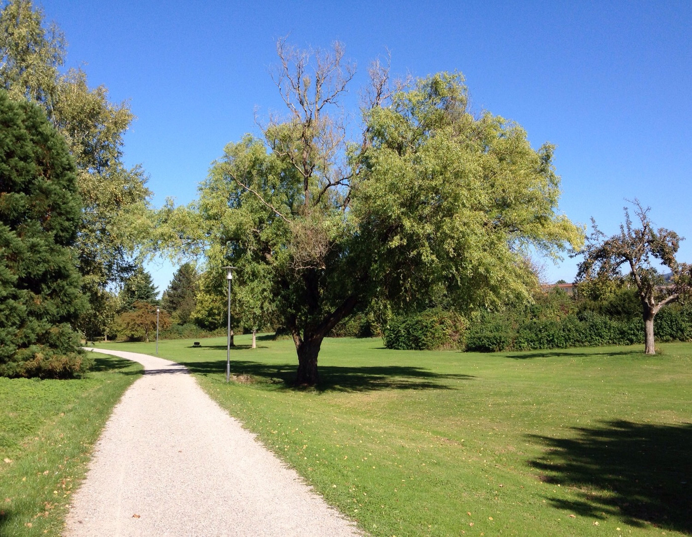 Allein im Park !