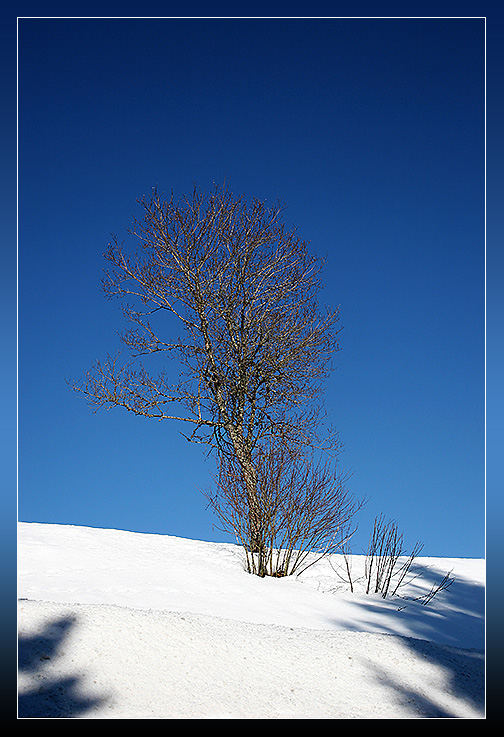 Allein im Schnee