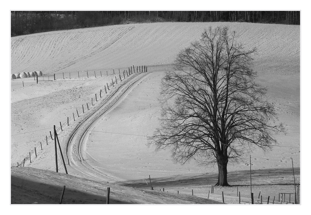 allein im Schnee