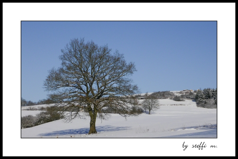 Allein im Schnee