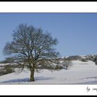 Allein im Schnee